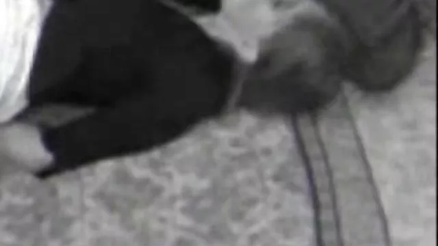 XXX بدون ثبت نام بد,باسن,نوجوان, سایت های دانلود فیلم سوپر