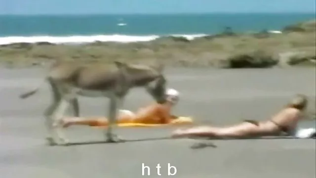XXX بدون ثبت نام 16,جنس فیلم سوپر سیاه سفید نر,زن و شوهر,صفحه اصلی